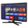 SELFSAT SMART LED TV 1224 (60cm/24") inkl. DVB-S2/C/T2 HD Tuner mit WLAN und Bluetooth